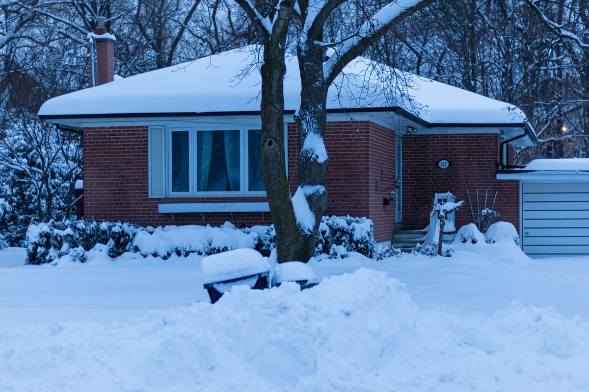A snow-covered backyard in flat winter light