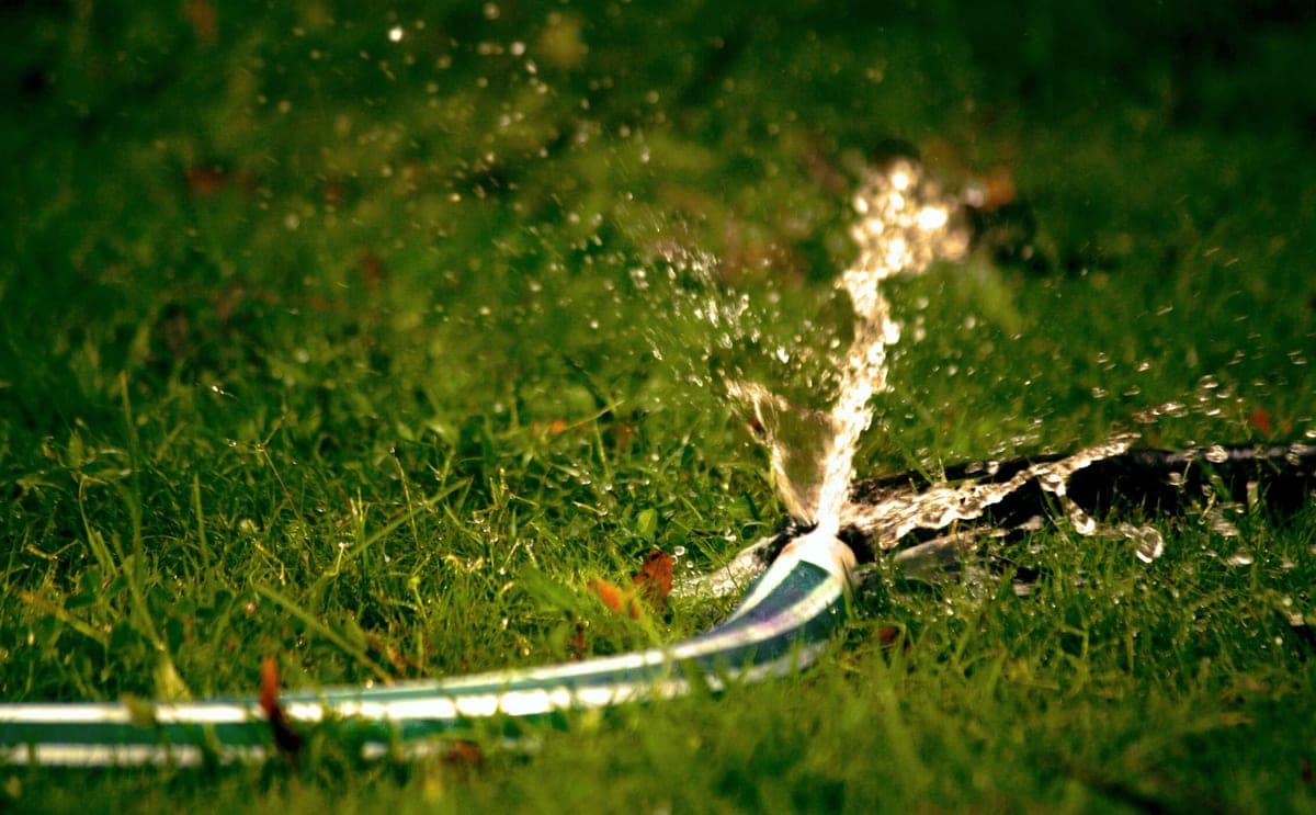 A hose running water out onto ground beside a paved area
