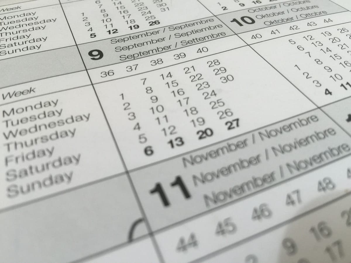 A wall calendar showing a month of dates