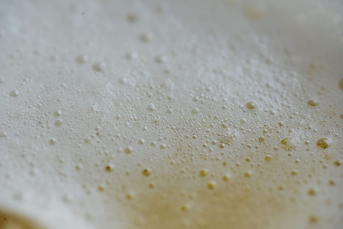 Fine white foam bubbles massed on a water surface