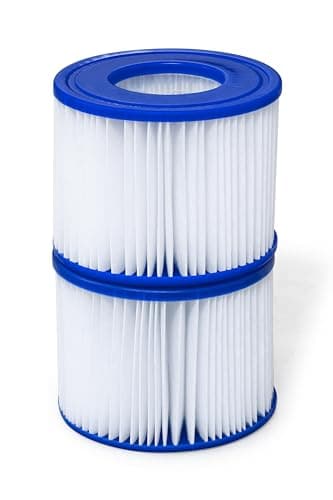 SaluSpa Type VI filter cartridges, 2-pack